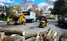 Best Emergency Tree Removal  in Searingtown, NY